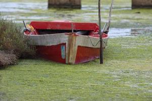 een oud visvangst boot in moeras in Sardinië, Italië foto