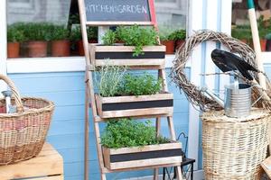 het kweken van planten in potten op een landhuis veranda foto