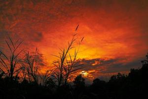 gouden zonsondergang natuur achtergrond. foto