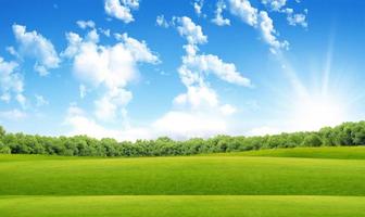 groen veld- in zon balken foto