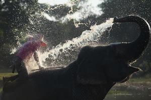 groot olifant het baden in de rivier- en sproeien zichzelf met water, begeleid door hun handler foto