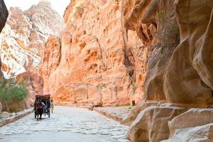 bedoeïenen vervoer in siq passage naar petra stad foto