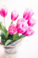 roze tulpen in selectieve aandacht foto