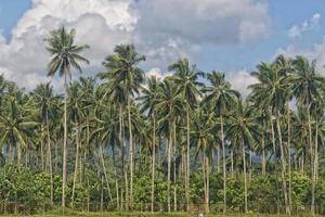 Indonesië sulawesi manado Oppervlakte antenne visie foto