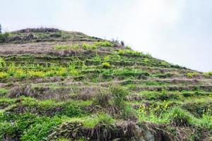 heuvel met terrasvormig rijst- gronden in dazhai dorp foto