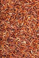 ongekookt lang graan rood kernel rijst- foto
