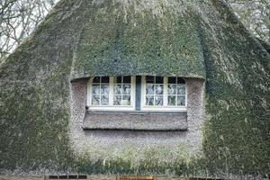 gras venster hobbit film stijl foto