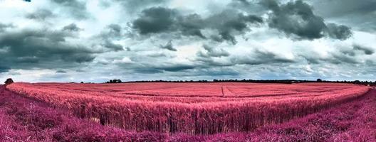 mooi en kleurrijk fantasie landschap in een Aziatisch Purper infrarood stijl foto