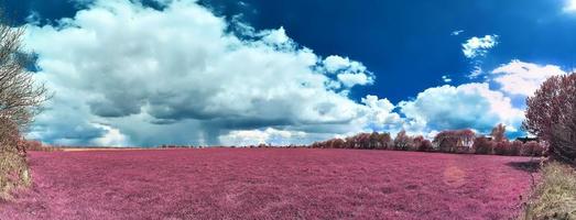 mooi en kleurrijk fantasie landschap in een Aziatisch Purper infrarood stijl foto