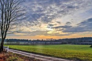 weergave van een agrarisch gebruikt veld met groen gras. foto