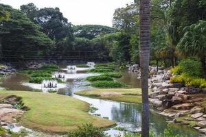 nong nooch tropisch tuin foto