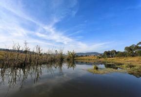 weerspiegeling van bomen en lucht in de rivier foto