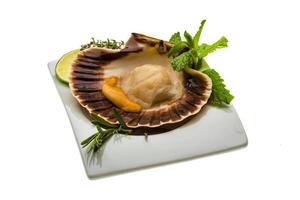 coquille met asperges, limoen, munt en rozemarijn foto