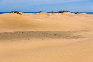 maspalomen duna - woestijn in kanarie eiland oma canaria foto