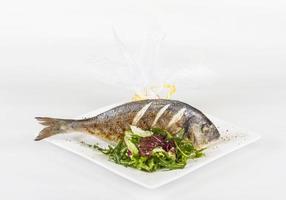 Dorada vis met salade op de witte plaat. studio opname foto