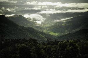 groen tropisch regenwoud en bergketen foto