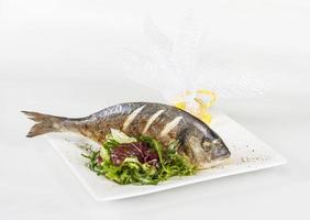 Dorada vis met salade op de witte plaat. studio opname foto