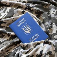 oekraïens buitenlands paspoort Aan kleding stof met structuur van leger korrelig camouflage. kleding met camo patroon in grijs, bruin en groen pixel vormen en oekraïens ID kaart foto