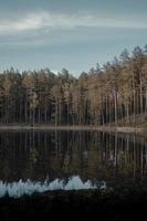 bomen naast water foto