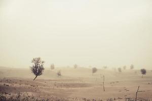 wind voor zandstorm in woestijn foto