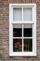 venster met rood bloemen foto