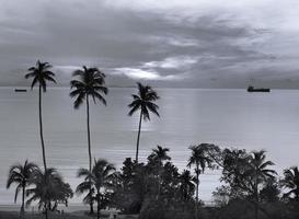 zwart en wit behang van vredig zonsopkomst zonsondergang zeegezicht en oceaan lucht met kokosnoot silhouet voorgrond foto