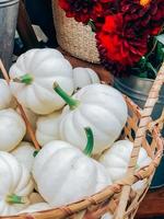 decoratief wit pompoenen stapel in mand Aan markt foto