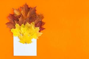 herfst bladeren in papier envelop mockup foto