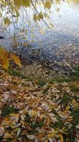 herfst achtergrond met pak,water,vertrek foto