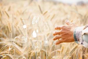 slim landbouw concept. boer met technologie digitaal tablet Aan achtergrond van tarwe veld. professioneel boeren gebruik internet van dingen iotcomputers systeem naar beheren boerderijen. landbouw modern idee. foto