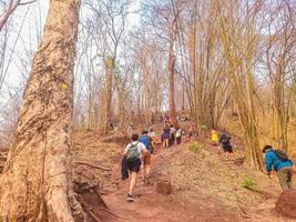 onbekend mensen trekking naar de top van de phu kradueng berg nationaal park in loei stad thailand.phu kradueng berg nationaal park de beroemd reizen bestemming van Thailand foto