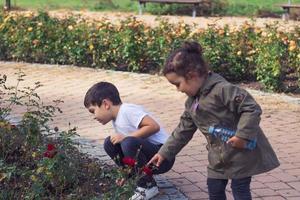 klein kinderen op zoek Bij rood rozen in een tuin. foto