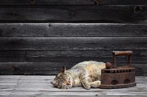 een dik kat is gelegen De volgende naar een zwaar en roestig oud steenkool ijzer Aan een houten oppervlakte foto