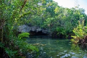 cenote, Mexico. lief cenote in yucatan schiereiland met transparant wateren en hangende wortels. chichen itza, centraal Amerika. foto
