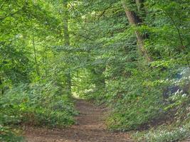 wandelen Bij een rivier- in Westfalen foto