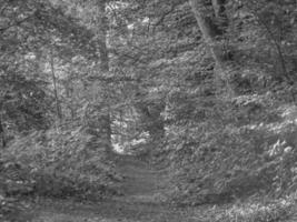 wandelen Bij een rivier- in Westfalen foto