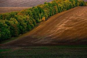 beeld van een landschap met vruchtbaar bodem van de republiek van Moldavië. zwart akkerbouw land- mooi zo voor zaaien. ecologisch landbouw. foto