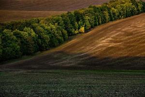 beeld van een landschap met vruchtbaar bodem van de republiek van Moldavië. zwart akkerbouw land- mooi zo voor zaaien. ecologisch landbouw. foto