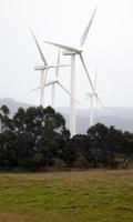 windturbines in een veld foto