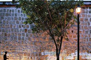 steen muur met straat verlichting met een boom in voorkant van de muur foto