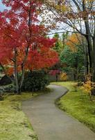 Japans tuin gedurende herfst seizoen foto