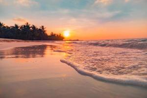 detailopname eiland kust palm bomen zee zand strand. wazig mooi tropisch strand landschap. inspireren zeegezicht horizon golven spatten. kleurrijk zonsondergang lucht rustig kom tot rust zomer kust, droom natuur foto