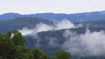 mist stromen door khaoyai nationaal park berg vallei in de ochtend- licht gedurende regenachtig seizoen, Thailand foto