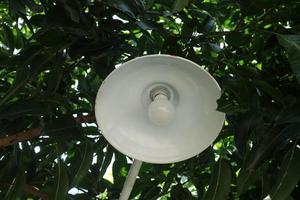 wit ronde verlichting onder de mango boom foto