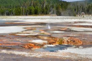 klein geiser uitbarsting in geiser bekken in yellowstone nationaal park foto