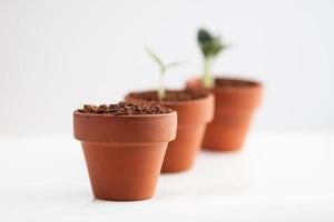 groei concept. terracotta potten foto