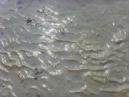 zeegezicht strand wadplaten wandelen wadden worm noorden zee kust duitsland. foto