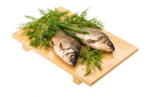 crucian Aan houten bord en wit achtergrond foto