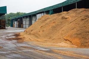 hout chips stapel Aan de alternatief macht fabriek. foto