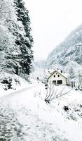 loopbrug wandelen episch berg buitenshuis avontuur naar bestemming de oud zout de mijne van hallstatt voorbij gaan aan de pijnboom Woud en winter sneeuw berg landschap buitenshuis avontuur, Oostenrijk foto